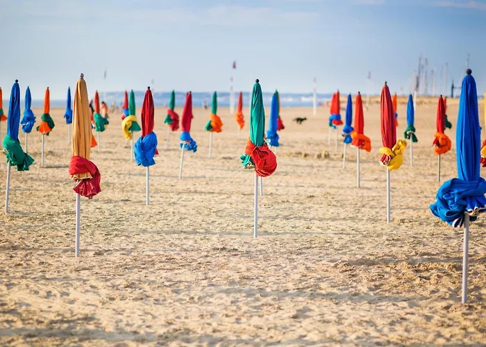 Le Panoramic View Apartment